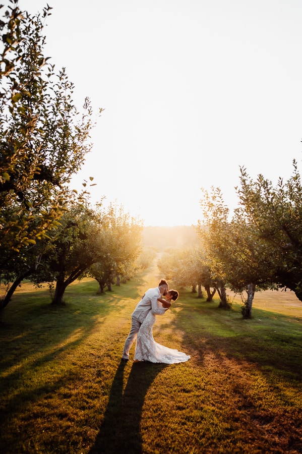 Groom dipping bride back and kissing in middle of apple orchard at sunset