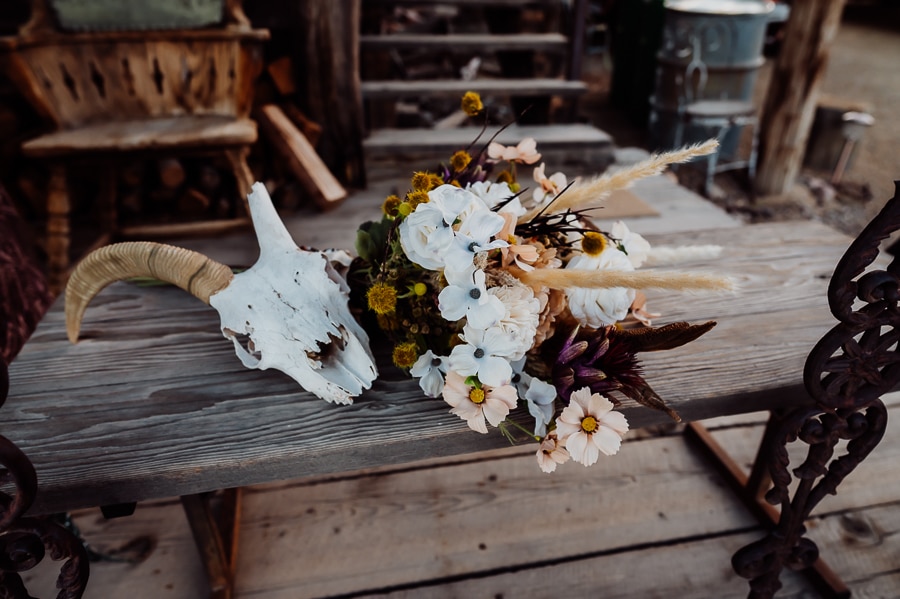 wedding bouquet sitting on bench next to skull with horns