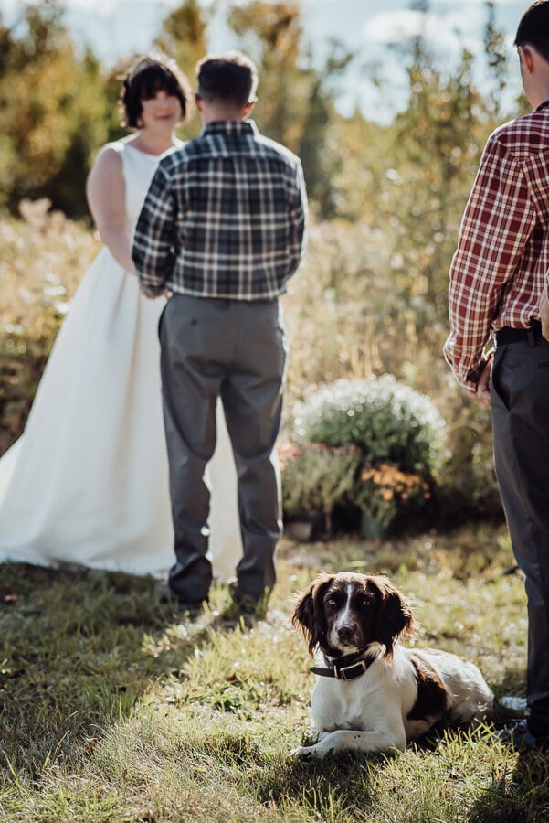 Maine wedding photography elopement backyard ceremony bride dress-42.jpg
