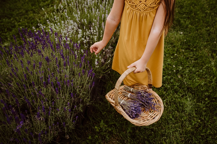 Moore Manor Lavender Newport Maine Photography Mommy And Me-5.jpg