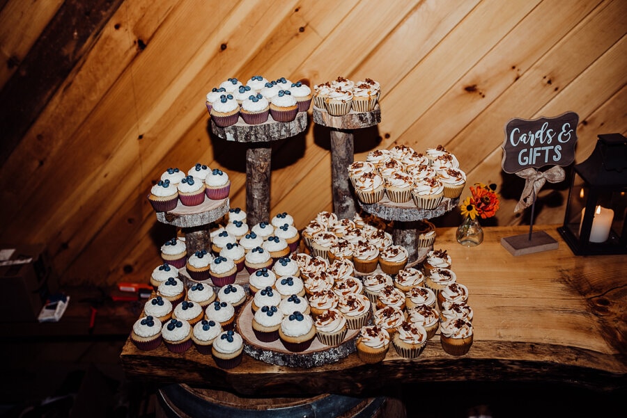 Verona Island Maine Wedding Breezy Photography-75.jpg