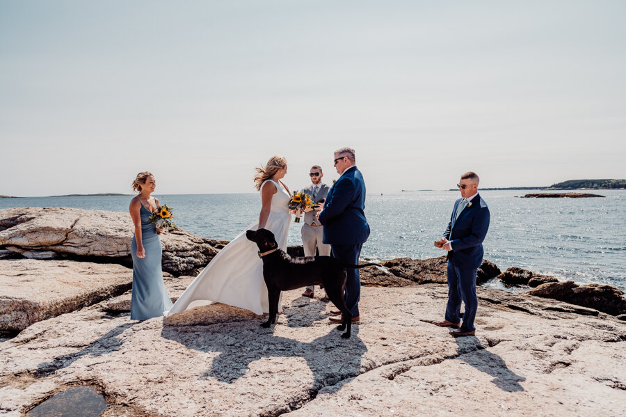 Maine wedding photography Boothbay harbor mine oyster