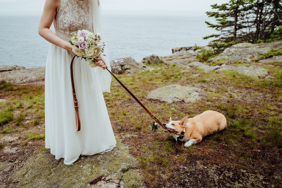 Acadia National Park Elopement Photography