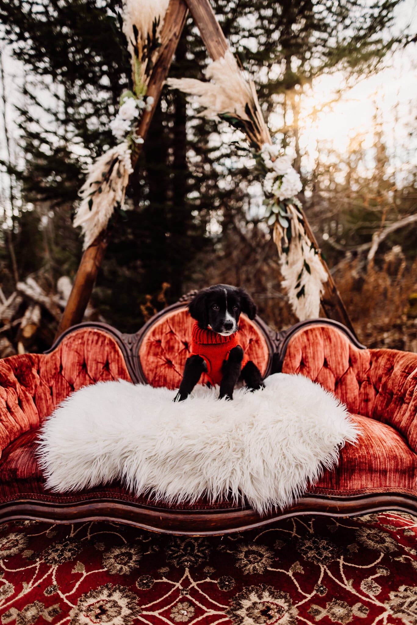 Maine wedding photography elopement bar harbor Acadia national park Christmas winter harvest mini wood triangle arch red velvet sofa