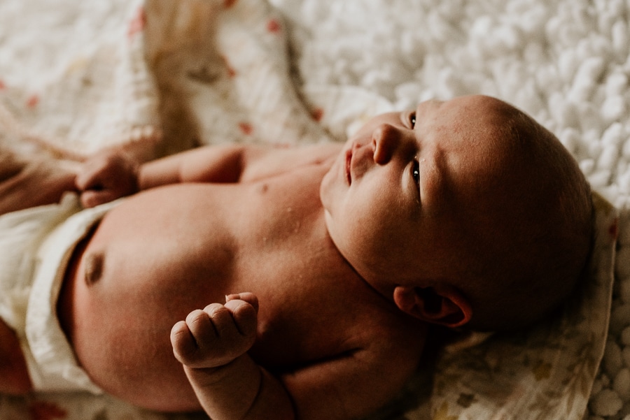 Birth Baby Storytelling Photography Mayo Regional Hospital Fresh 48 Newborn flower bath siblings Maine