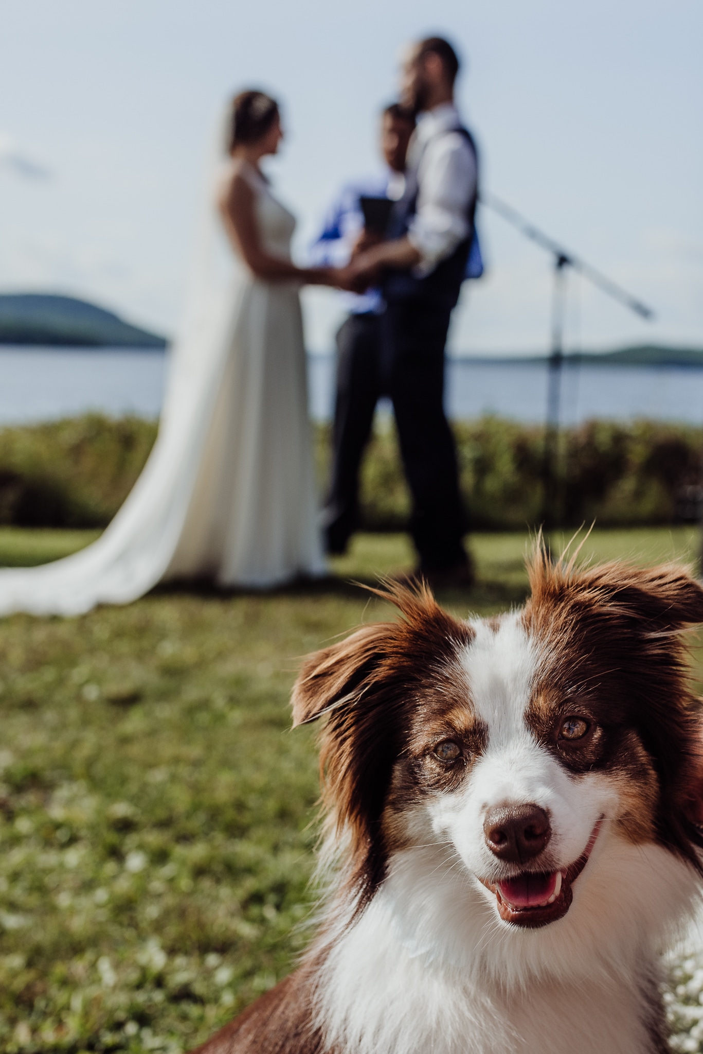 maine wedding breezy photography